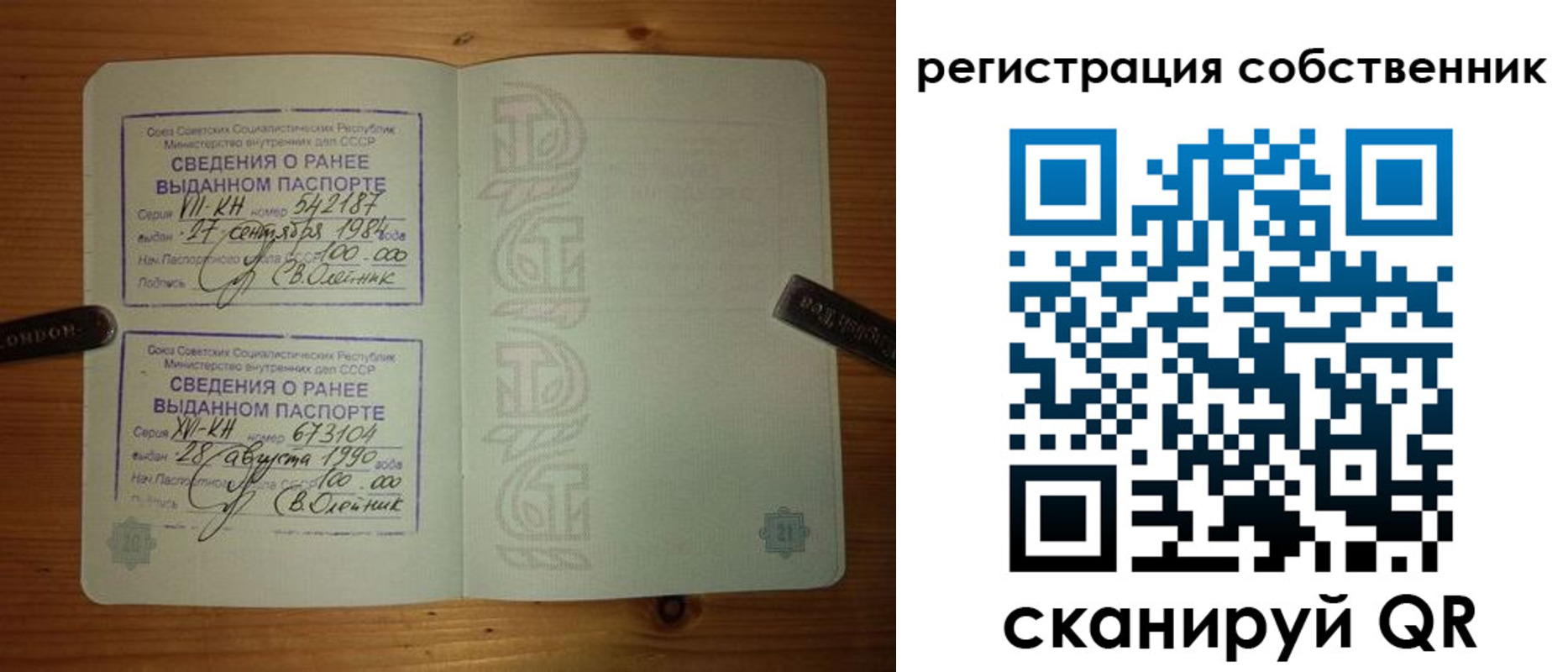 временная регистрация гарантия в Светлограде